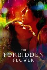 The Forbidden Flower Season 1 The Forbidden Flower Season 1